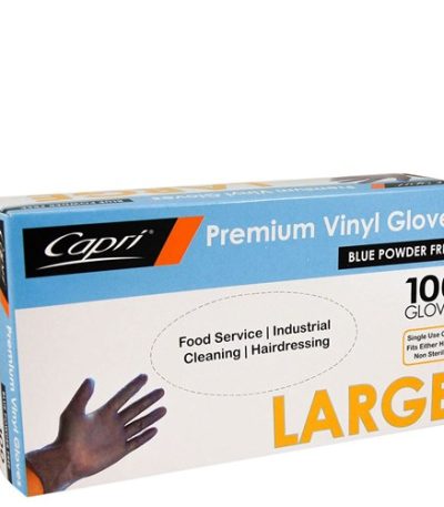 Vinyl Powder Free Gloves Blue Large (Box of 100) for Safe Use