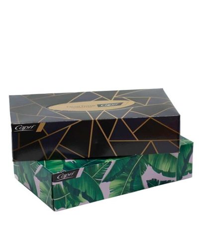 2 Ply Facial Tissue 100 Pack White